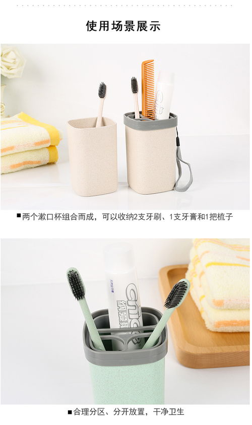环保与旅行的完美结